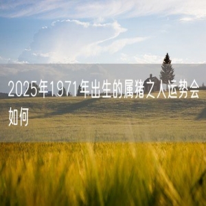 2025年1971年出生的属猪之人运势会如何