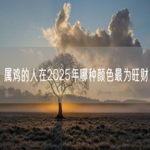 属鸡的人在2025年哪种颜色最为旺财