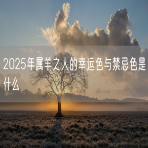 2025年属羊之人的幸运色与禁忌色是什么