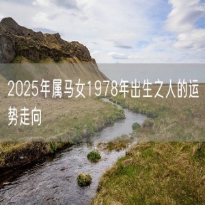 2025年属马女1978年出生之人的运势走向
