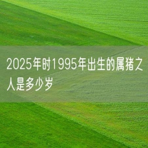 2025年时1995年出生的属猪之人是多少岁