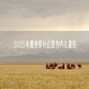 2025年属虎穿什么颜色内衣最旺