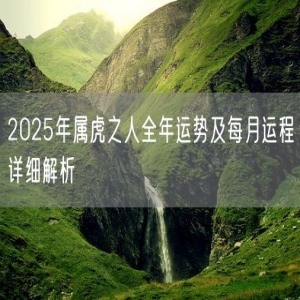 2025年属虎之人全年运势及每月运程详细解析