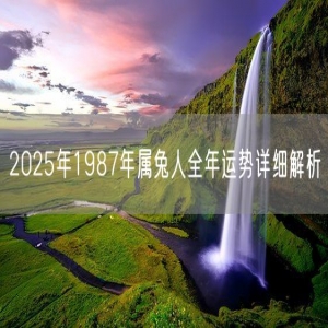 2025年1987年属兔人全年运势详细解析