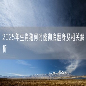 2025年生肖猪何时能彻底翻身及相关解析