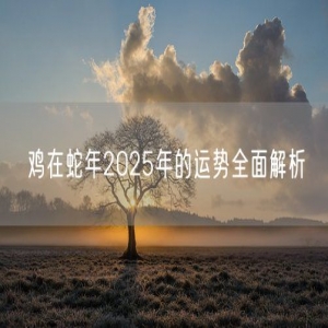 鸡在蛇年2025年的运势全面解析