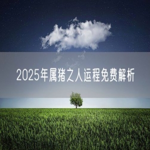 2025年属猪之人运程免费解析