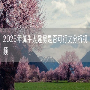 2025年属牛人建房是否可行之分析视频