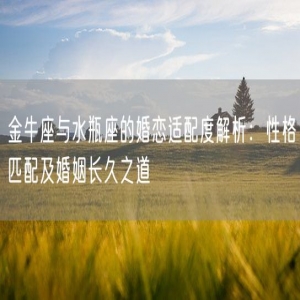 金牛座与水瓶座的婚恋适配度解析：性格匹配及婚姻长久之道