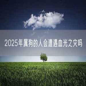 2025年属狗的人会遭遇血光之灾吗