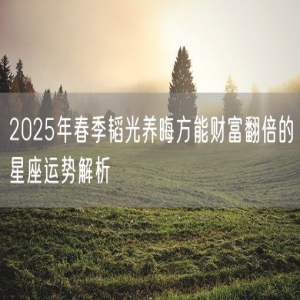 2025年春季韬光养晦方能财富翻倍的星座运势解析