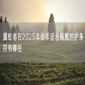 属蛇者在2025本命年适合佩戴的护身符有哪些