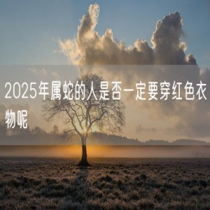 2025年属蛇的人是否一定要穿红色衣物呢