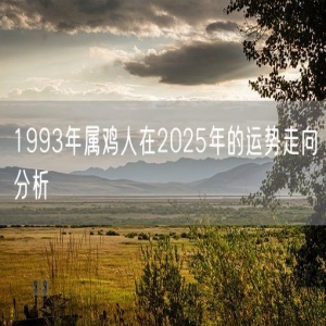 1993年属鸡人在2025年的运势走向分析