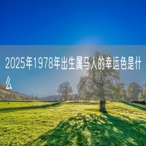2025年1978年出生属马人的幸运色是什么