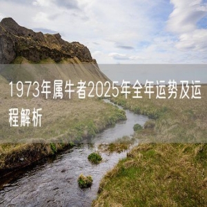 1973年属牛者2025年全年运势及运程解析