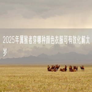 2025年属猴者穿哪种颜色衣服可有效化解太岁