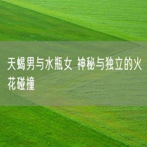 天蝎男与水瓶女 神秘与独立的火花碰撞