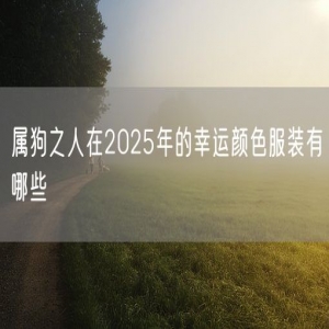 属狗之人在2025年的幸运颜色服装有哪些