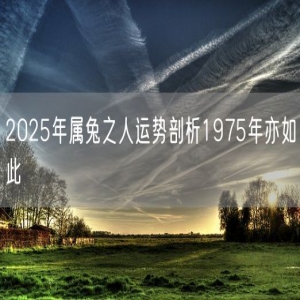 2025年属兔之人运势剖析1975年亦如此